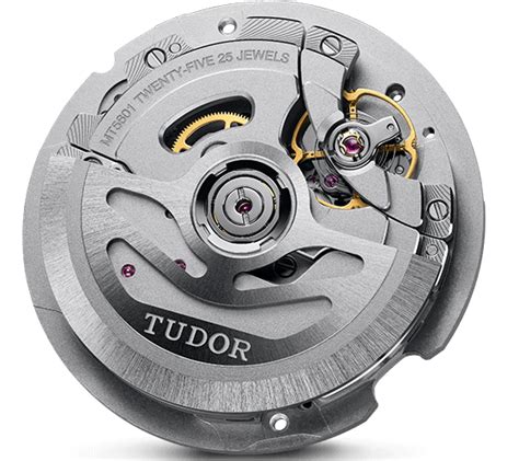 tudor m56003|tudor caliber model mt5602.